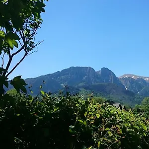 Msc Honeymoon , Zakopane Polska